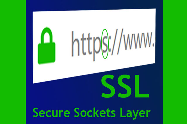 Sarasota Managed WordPress Hosting and SSL Certificates