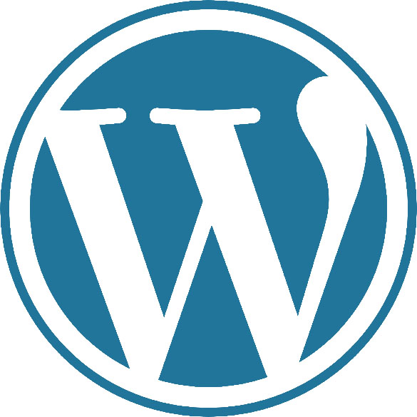 WordPress Experts Sarasota MediaFocus Web Design Firm