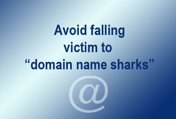 Website domain names - don't lose your domain name